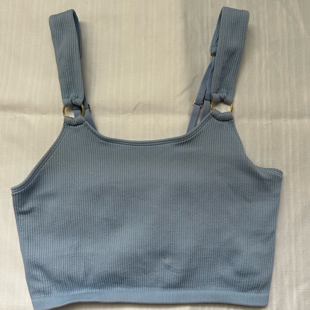 blue aerie crop top